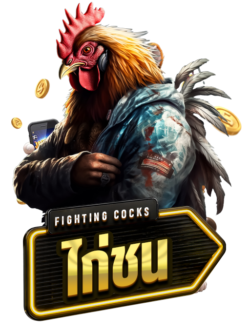 Fighting cocks
